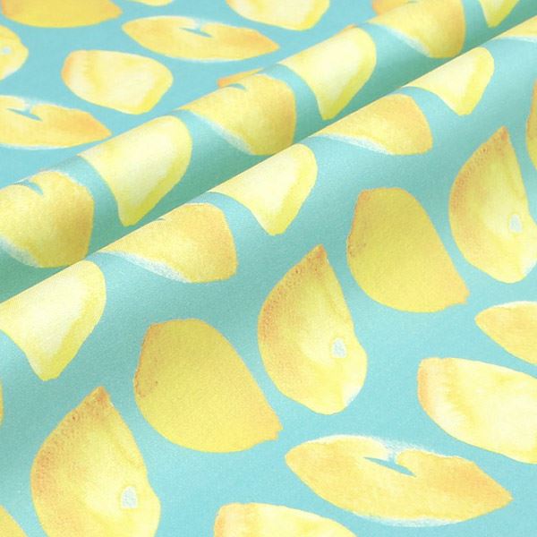 【シーチングorオックス:50cm単位】 エコファブリック fab-cm00579