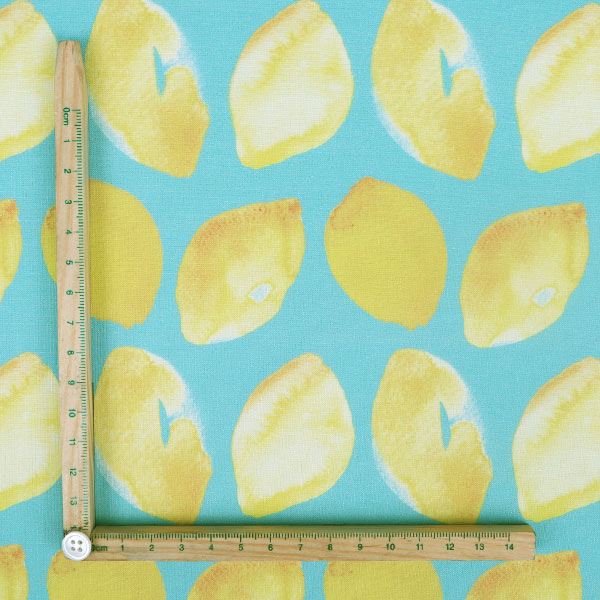 【シーチングorオックス:50cm単位】 エコファブリック fab-cm00579