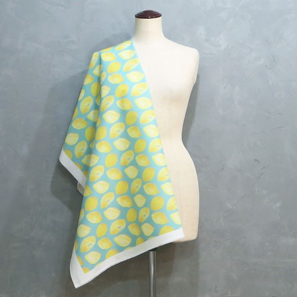 【シーチングorオックス:50cm単位】 エコファブリック fab-cm00579