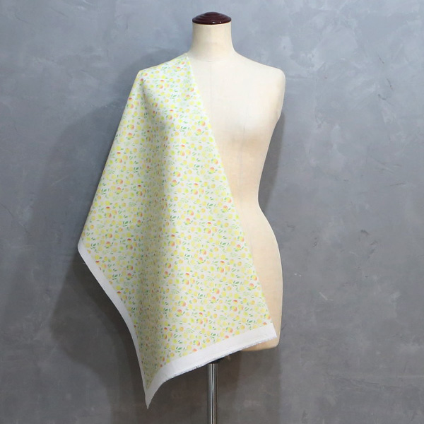 【シーチングorオックス:50cm単位】 エコファブリック fab-cm00585