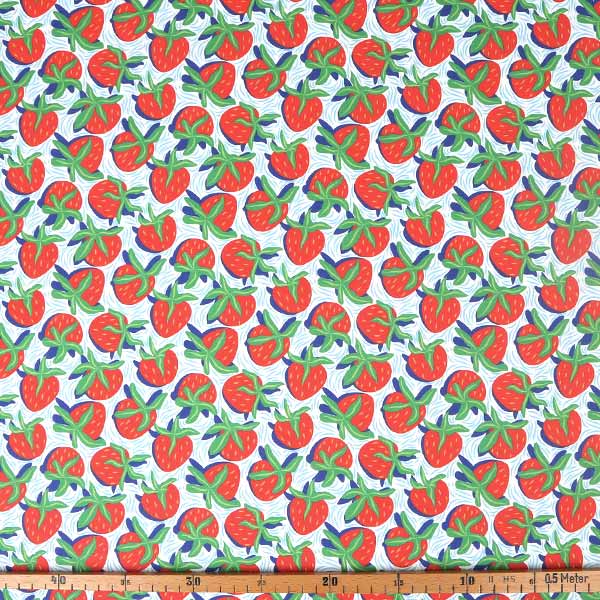 【シーチングorオックス:50cm単位】 エコファブリック fab-cm00690