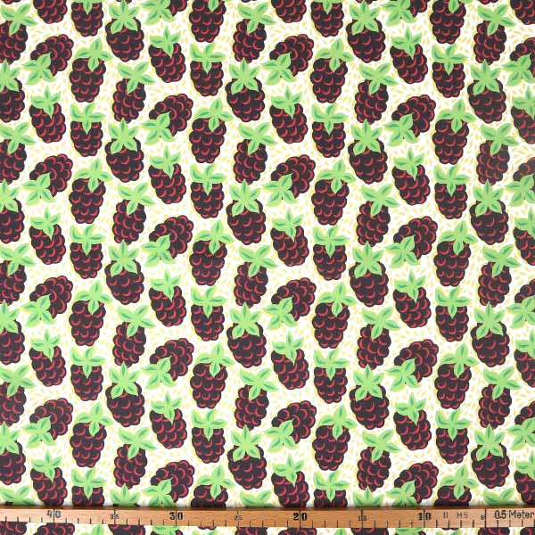 【シーチングorオックス:50cm単位】 エコファブリック fab-cm00703