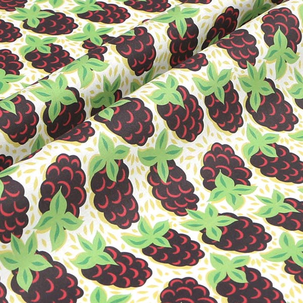 【シーチングorオックス:50cm単位】 エコファブリック fab-cm00703