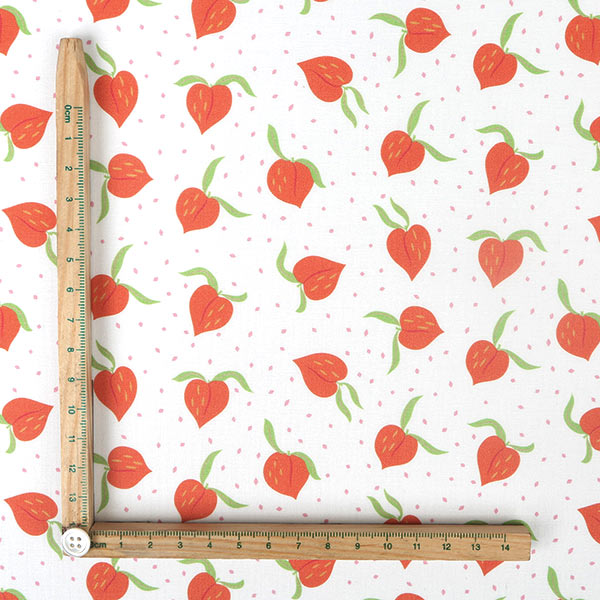 【シーチングorオックス:50cm単位】 エコファブリック fab-cm00713