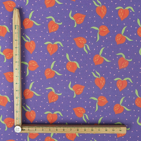 【シーチングorオックス:50cm単位】 エコファブリック fab-cm00714