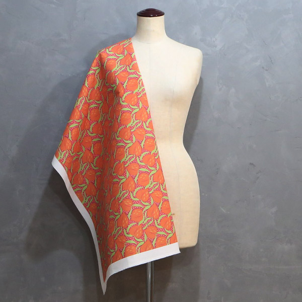 【シーチングorオックス:50cm単位】 エコファブリック fab-cm00716