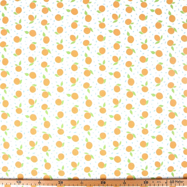 【シーチングorオックス:50cm単位】 エコファブリック fab-cm00717