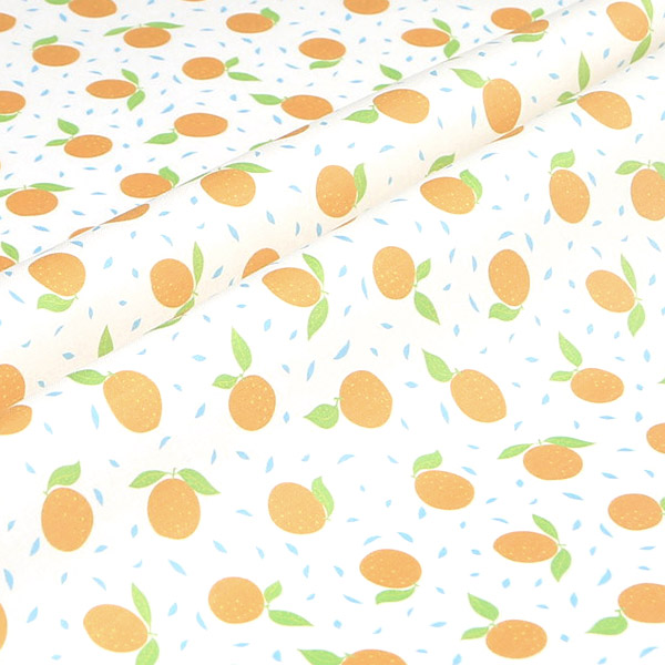 【シーチングorオックス:50cm単位】 エコファブリック fab-cm00717