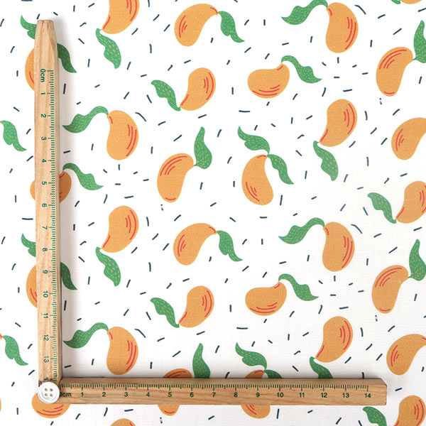 【シーチングorオックス:50cm単位】 エコファブリック fab-cm00721