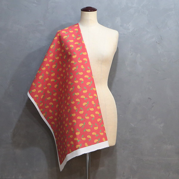 【シーチングorオックス:50cm単位】 エコファブリック fab-cm00722