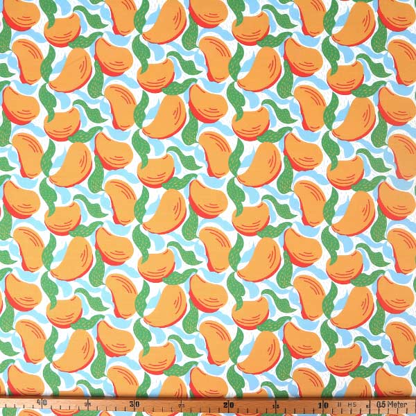 【シーチングorオックス:50cm単位】 エコファブリック fab-cm00723