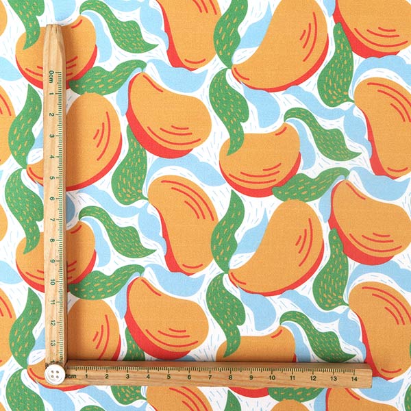 【シーチングorオックス:50cm単位】 エコファブリック fab-cm00723