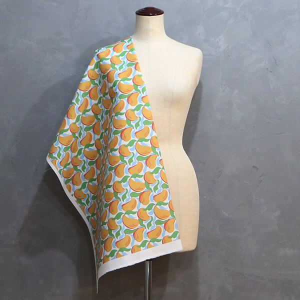 【シーチングorオックス:50cm単位】 エコファブリック fab-cm00723