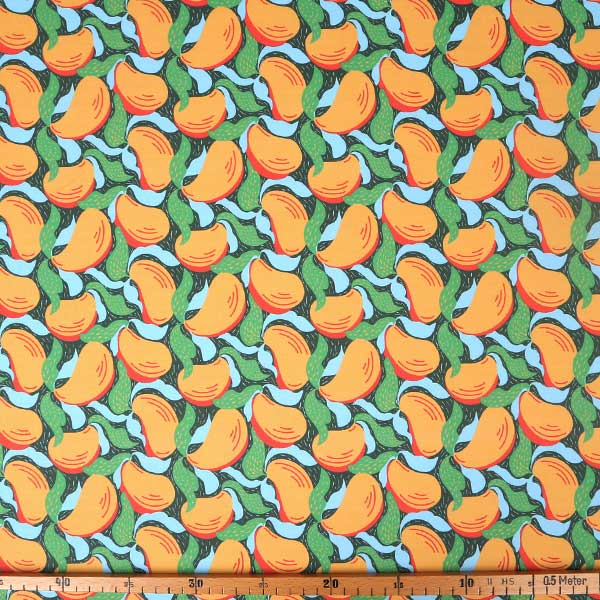 【シーチングorオックス:50cm単位】 エコファブリック fab-cm00724