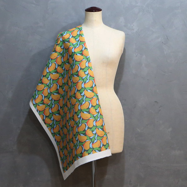 【シーチングorオックス:50cm単位】 エコファブリック fab-cm00724