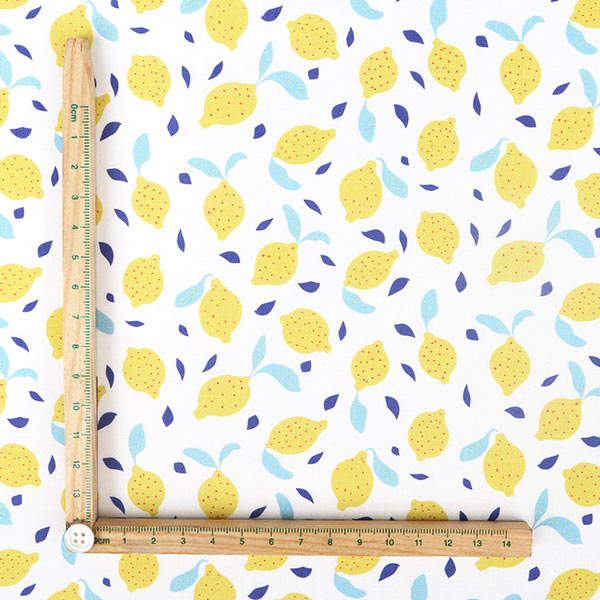 【シーチングorオックス:50cm単位】 エコファブリック fab-cm00725