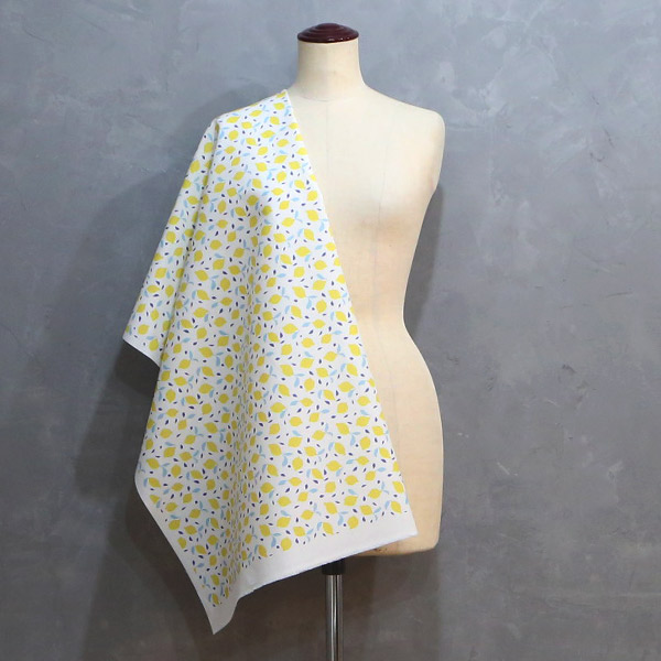 【シーチングorオックス:50cm単位】 エコファブリック fab-cm00725