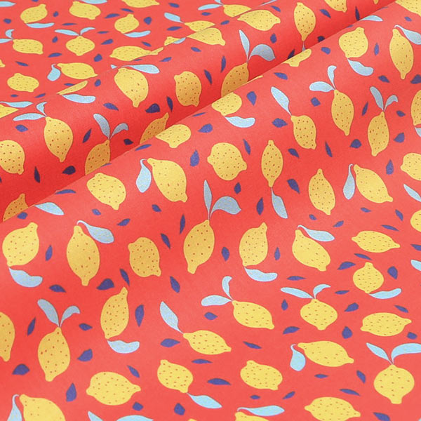 【シーチングorオックス:50cm単位】 エコファブリック fab-cm00726