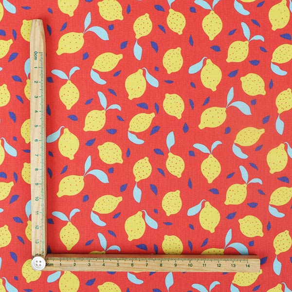 【シーチングorオックス:50cm単位】 エコファブリック fab-cm00726