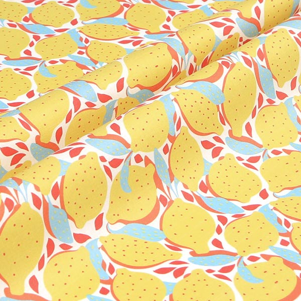 【シーチングorオックス:50cm単位】 エコファブリック fab-cm00727