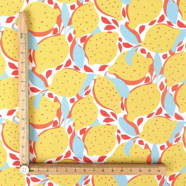 【シーチングorオックス:50cm単位】 エコファブリック fab-cm00727