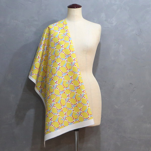 【シーチングorオックス:50cm単位】 エコファブリック fab-cm00727