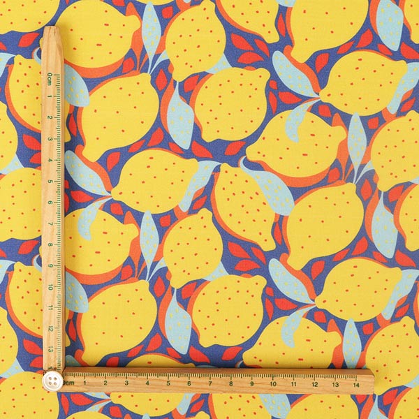 【シーチングorオックス:50cm単位】 エコファブリック fab-cm00728