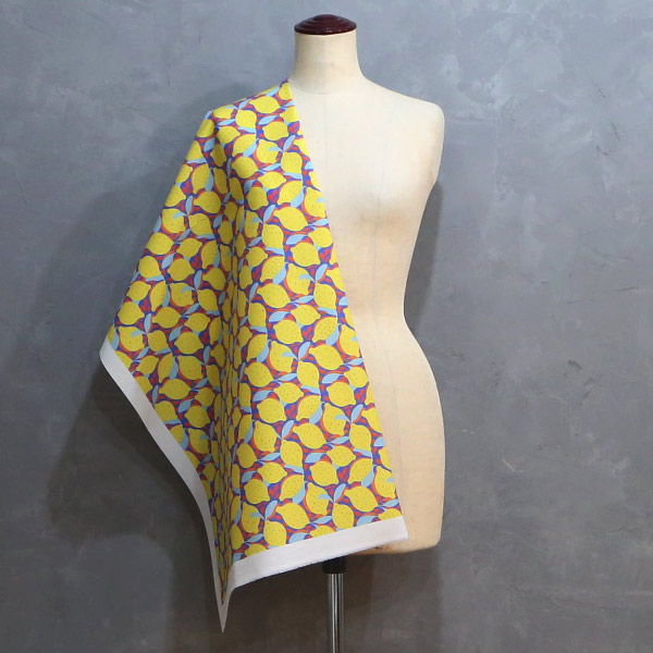 【シーチングorオックス:50cm単位】 エコファブリック fab-cm00728