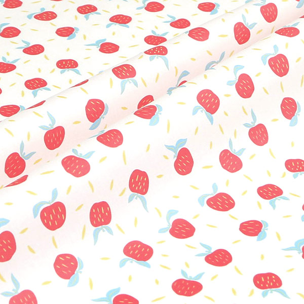 【シーチングorオックス:50cm単位】 エコファブリック fab-cm00737