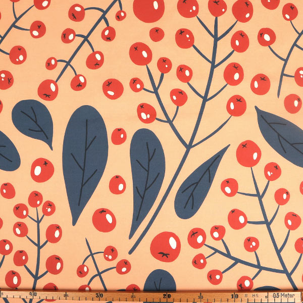 【シーチングorオックス:50cm単位】 エコファブリック fab-cm00768