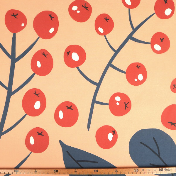 【シーチングorオックス:50cm単位】 エコファブリック fab-cm00769