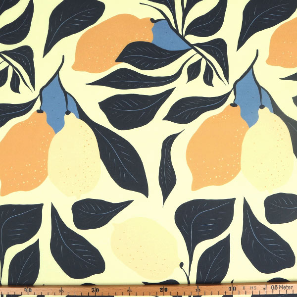 【シーチングorオックス:50cm単位】 エコファブリック fab-cm00796