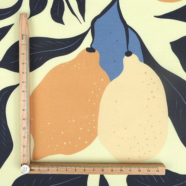 【シーチングorオックス:50cm単位】 エコファブリック fab-cm00796