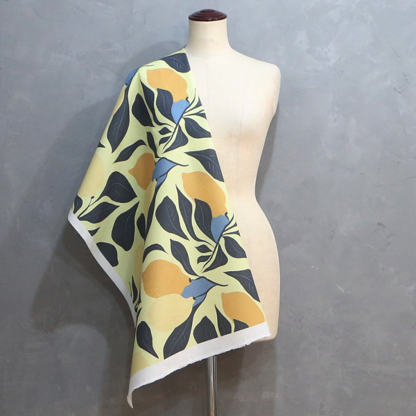 【シーチングorオックス:50cm単位】 エコファブリック fab-cm00796