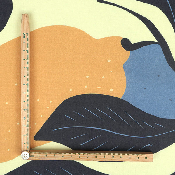 【シーチングorオックス:50cm単位】 エコファブリック fab-cm00797