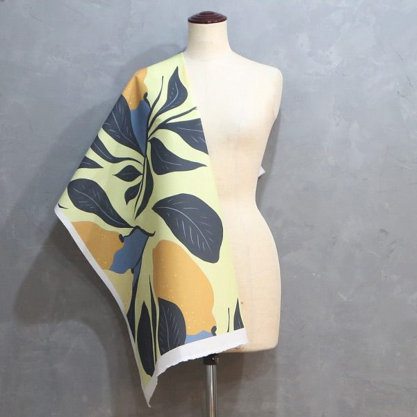 【シーチングorオックス:50cm単位】 エコファブリック fab-cm00797