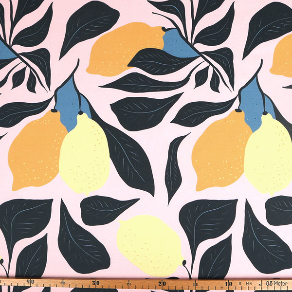 【シーチングorオックス:50cm単位】 エコファブリック fab-cm00798