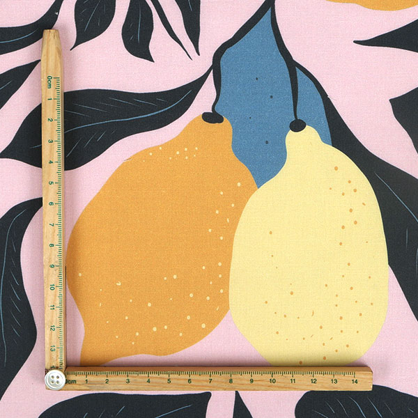 【シーチングorオックス:50cm単位】 エコファブリック fab-cm00798