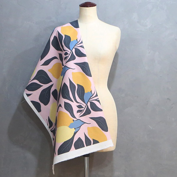 【シーチングorオックス:50cm単位】 エコファブリック fab-cm00798