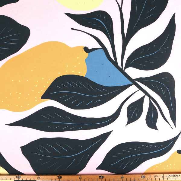 【シーチングorオックス:50cm単位】 エコファブリック fab-cm00799