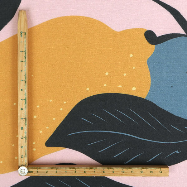 【シーチングorオックス:50cm単位】 エコファブリック fab-cm00799