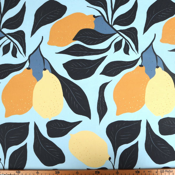 【シーチングorオックス:50cm単位】 エコファブリック fab-cm00800