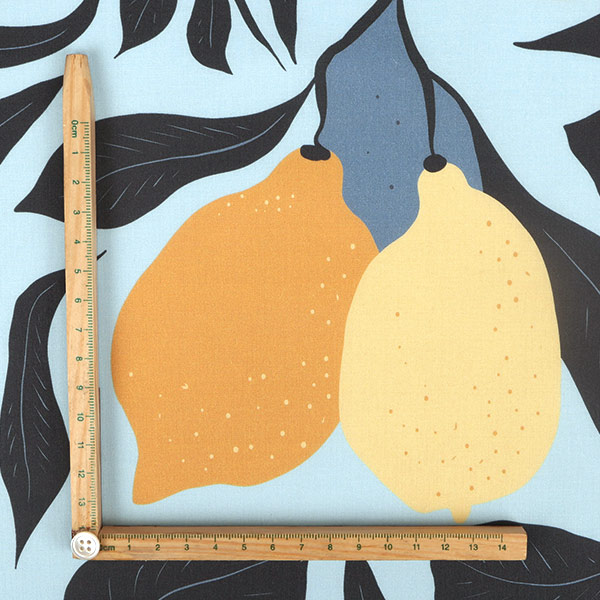 【シーチングorオックス:50cm単位】 エコファブリック fab-cm00800