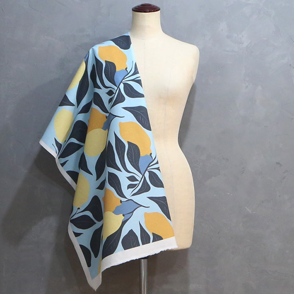 【シーチングorオックス:50cm単位】 エコファブリック fab-cm00800