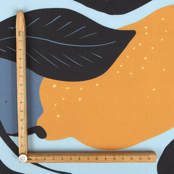 【シーチングorオックス:50cm単位】 エコファブリック fab-cm00801