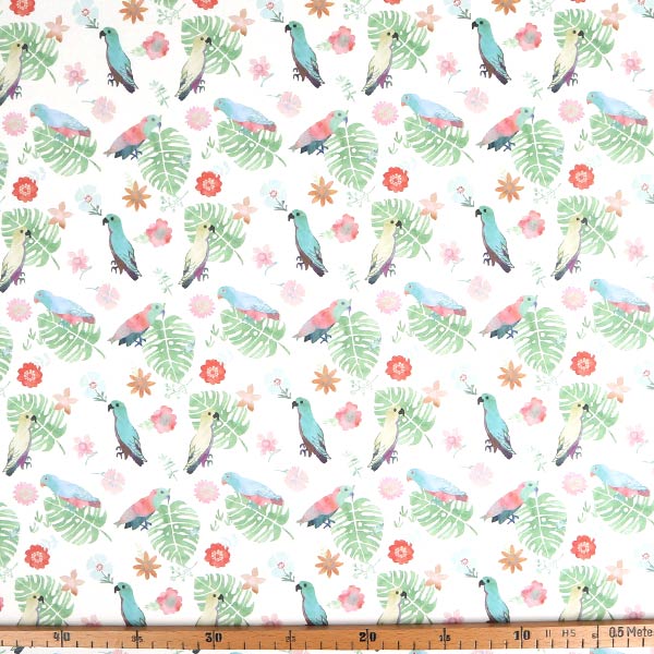 【シーチングorオックス:50cm単位】 エコファブリック fab-cm00824