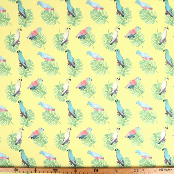 【シーチングorオックス:50cm単位】 エコファブリック fab-cm00825