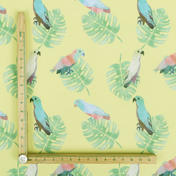 【シーチングorオックス:50cm単位】 エコファブリック fab-cm00825