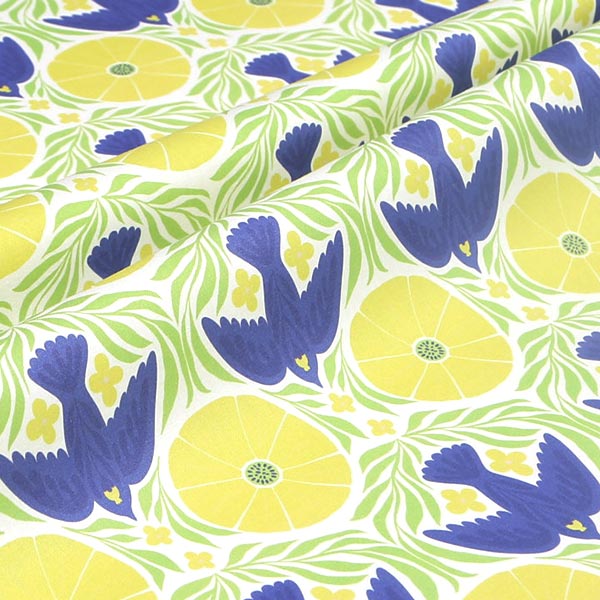 【シーチングorオックス:50cm単位】 エコファブリック fab-cm00918