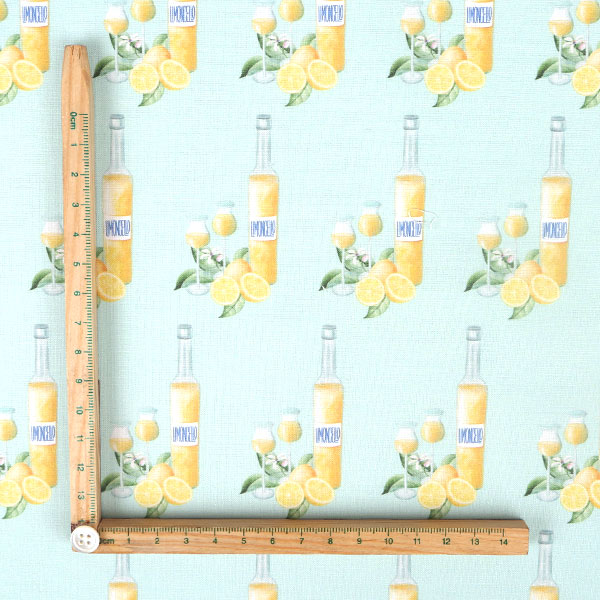 【シーチングorオックス:50cm単位】 エコファブリック fab-cm00957